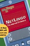 Download the NetLingo e-book!